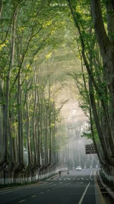 an empty street with trees lining the sides