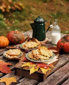 a table topped with plates of waffles and pumpkins