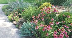 a garden filled with lots of colorful flowers