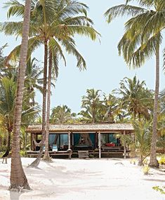 a hut on the beach surrounded by palm trees