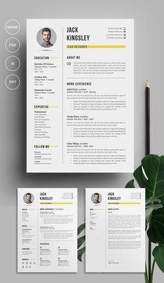 two resume templates on top of each other with a green plant next to them