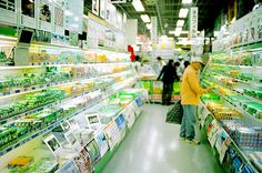 people shopping in a grocery store filled with products