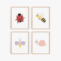 four framed pictures with different types of bugs and insects on them, each featuring a ladybug