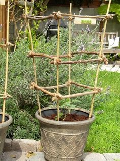 a potted plant with some kind of bamboo structure on it's side in the grass