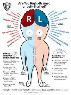 the right and left brain are you right - brained or left - brained?