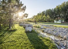 the sun shines brightly on some rocks and grass near a stream in a park