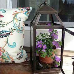 a potted plant sitting on top of a wooden table next to a window sill