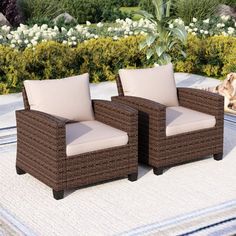 two brown wicker chairs sitting on top of a rug