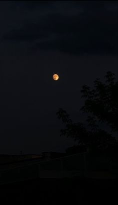 the moon is shining brightly in the dark sky above some trees and buildings at night