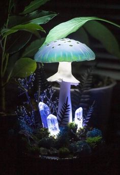 an illuminated mushroom sits in the middle of some plants