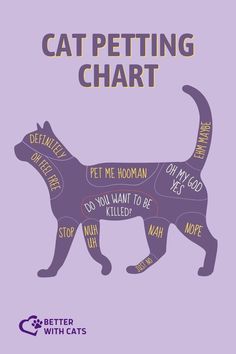 a cat that is cut into pieces with the words'petting chart'on it