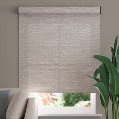 a living room with a couch, chair and window covered in roman blind shades on the windowsill