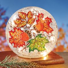 a lighted glass ball with leaves on it