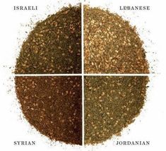 four different types of spices arranged in the shape of a circle, labeled with their names