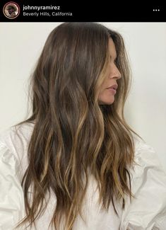 Color And Partial Highlight, Light Brown Partial Balayage, Mini Partial Highlights, Classic Brunette Hair, Balayage For Medium Brown Hair, Subtle Highlights Brown Hair, Soft Balayage Brunette, Highlights On Medium Brown Hair, Subtle Brunette Balayage