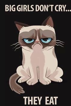 a grumpy cat with blue eyes and the caption it's my hair hurts kinda day