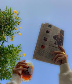 two hands reaching for a drink in front of a newspaper and potted plant with yellow flowers