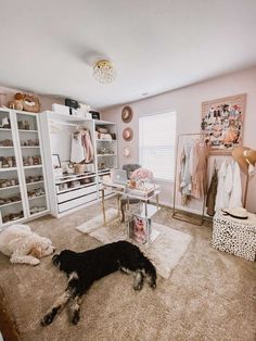 a dog laying on the floor in a bedroom