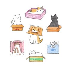 an image of cats that are in boxes