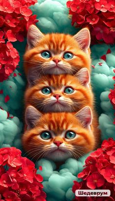 three kittens with blue eyes are surrounded by red flowers