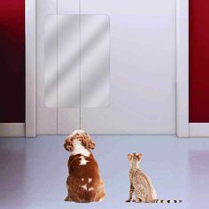 a cat sitting next to a dog in front of an open door and looking at it