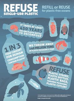 an info sheet describing how to use reuse for plastic - free items in the ocean