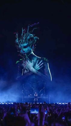 a man with his face covered by plants on stage at a music festival in the dark