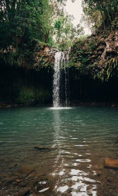 a small waterfall in the middle of a forest