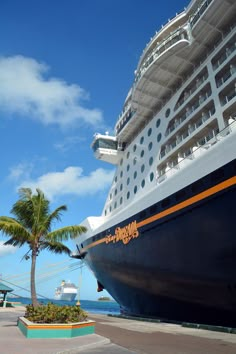 a cruise ship docked at the dock with palm trees in foreground and blue sky