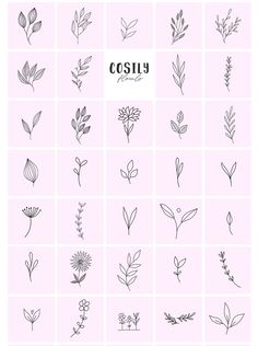 the different types of flowers and leaves are shown in this graphic style, which is used to