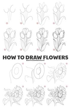 how to draw flowers step by step with pictures for beginners and advanced drawing students