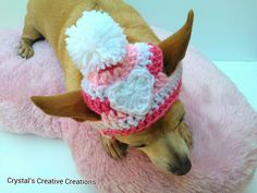 a brown dog wearing a pink and white crocheted hat on top of a pink blanket