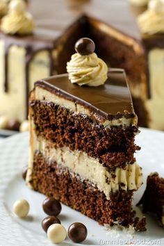 a piece of chocolate cake with white frosting and chocolate candies on the side