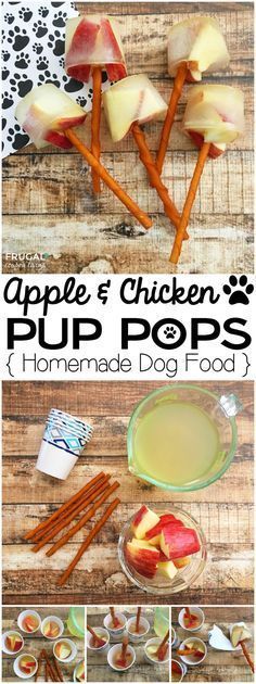 apple and chicken dip pops recipe with homemade dog food