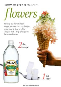 an advertisement for heinz's ice cream with flowers on top and two scoops of ice