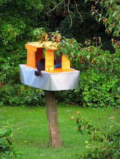 a cat sitting on top of a bird house in the middle of a tree trunk