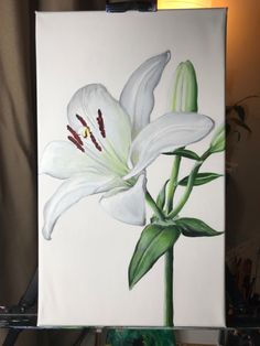 a painting of a white lily on a easel