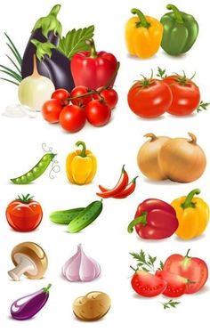 a bunch of different types of vegetables are shown in this graphic art style, including tomatoes, peppers, onions, and broccoli