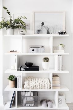 a white shelf filled with books and plants