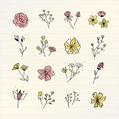 hand drawn flowers on lined paper