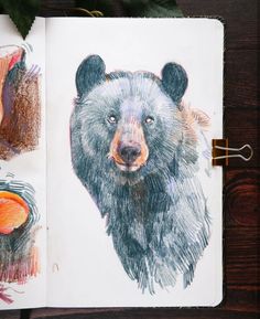 a drawing of a bear in colored pencils on top of a book with leaves