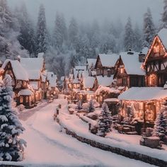 a snowy village with christmas lights and trees