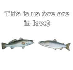 this is us we are in love with two fish on the same side, and one has