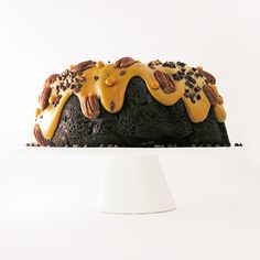 a chocolate cake with pecans and caramel drizzled on top sitting on a white plate