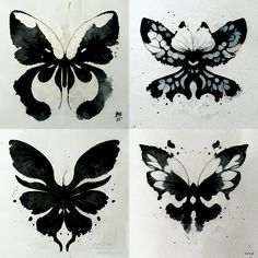 four different black and white butterflies on paper