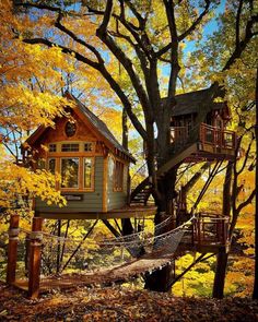 a tree house in the woods with a hammock