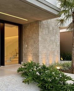 the entrance to a modern house with plants in front