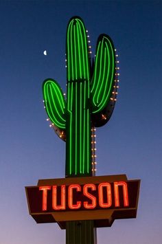 a neon sign that says tuscon with a cactus in the background at dusk