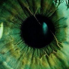 an extreme close up shot of the iris of a green eye