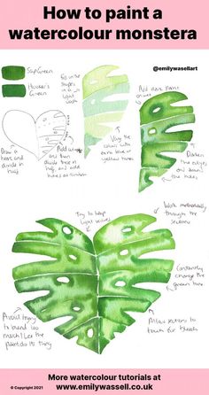 how to paint a watercolour monster leaf